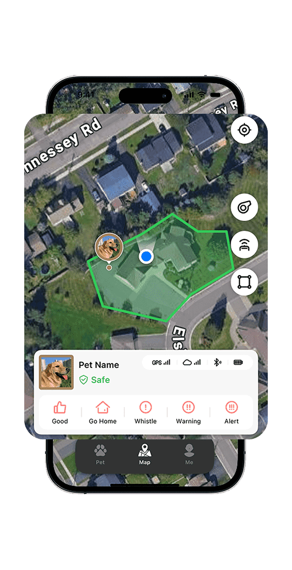 Your Dog Stays in Safe Boundaries